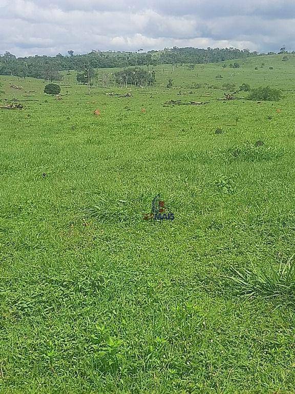 Fazenda à venda com 1 quarto, 3533200M2 - Foto 6