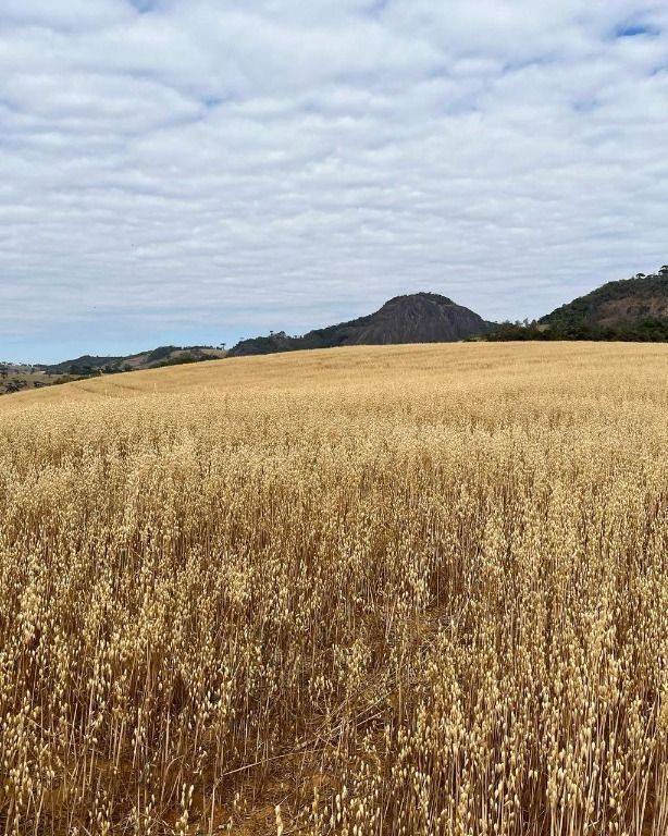 Fazenda, 339 hectares - Foto 20