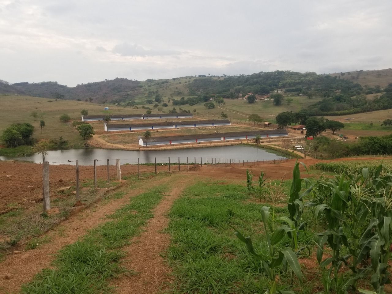 Fazenda à venda, 1839200M2 - Foto 7