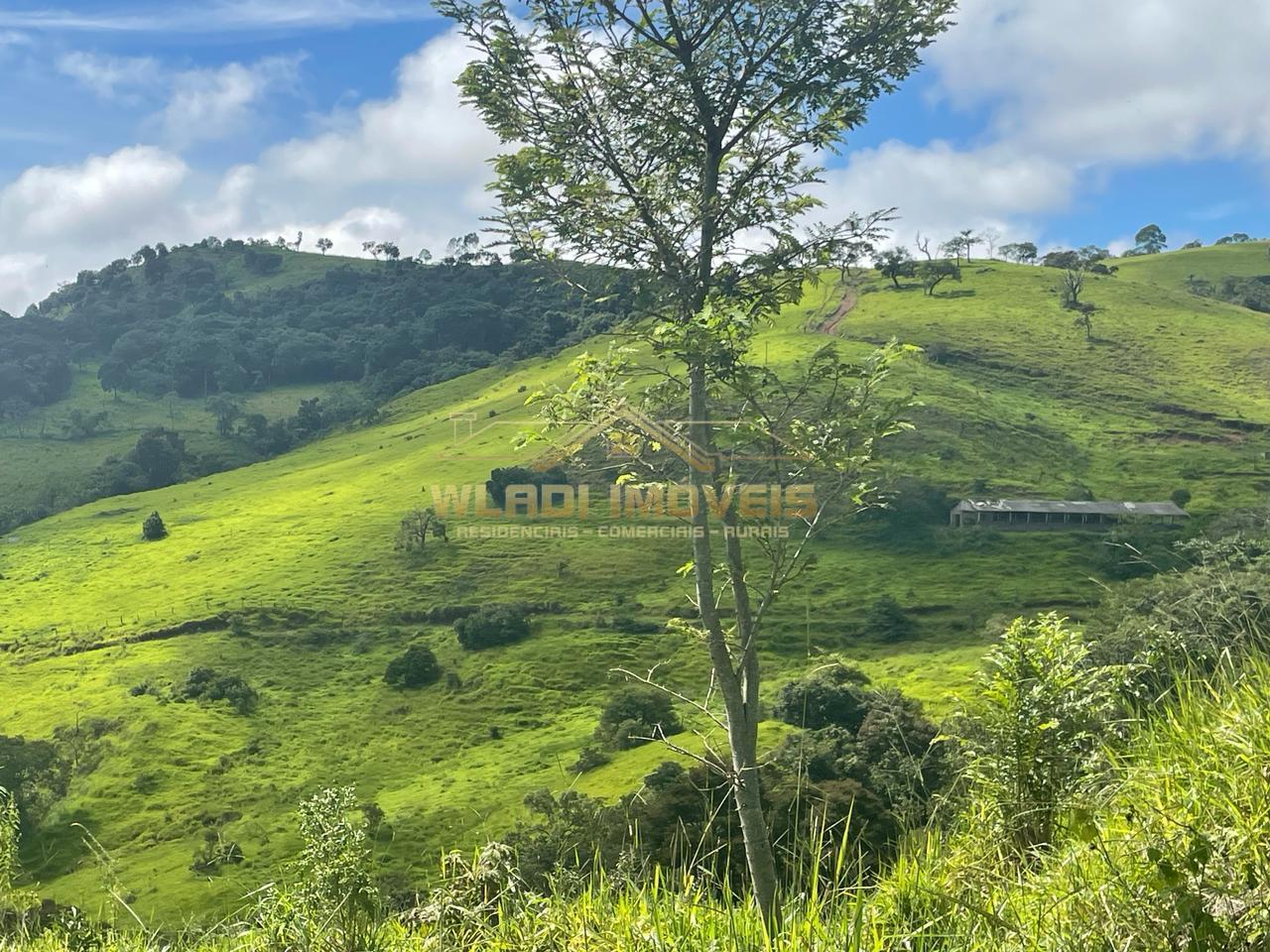 Fazenda à venda, 70m² - Foto 2