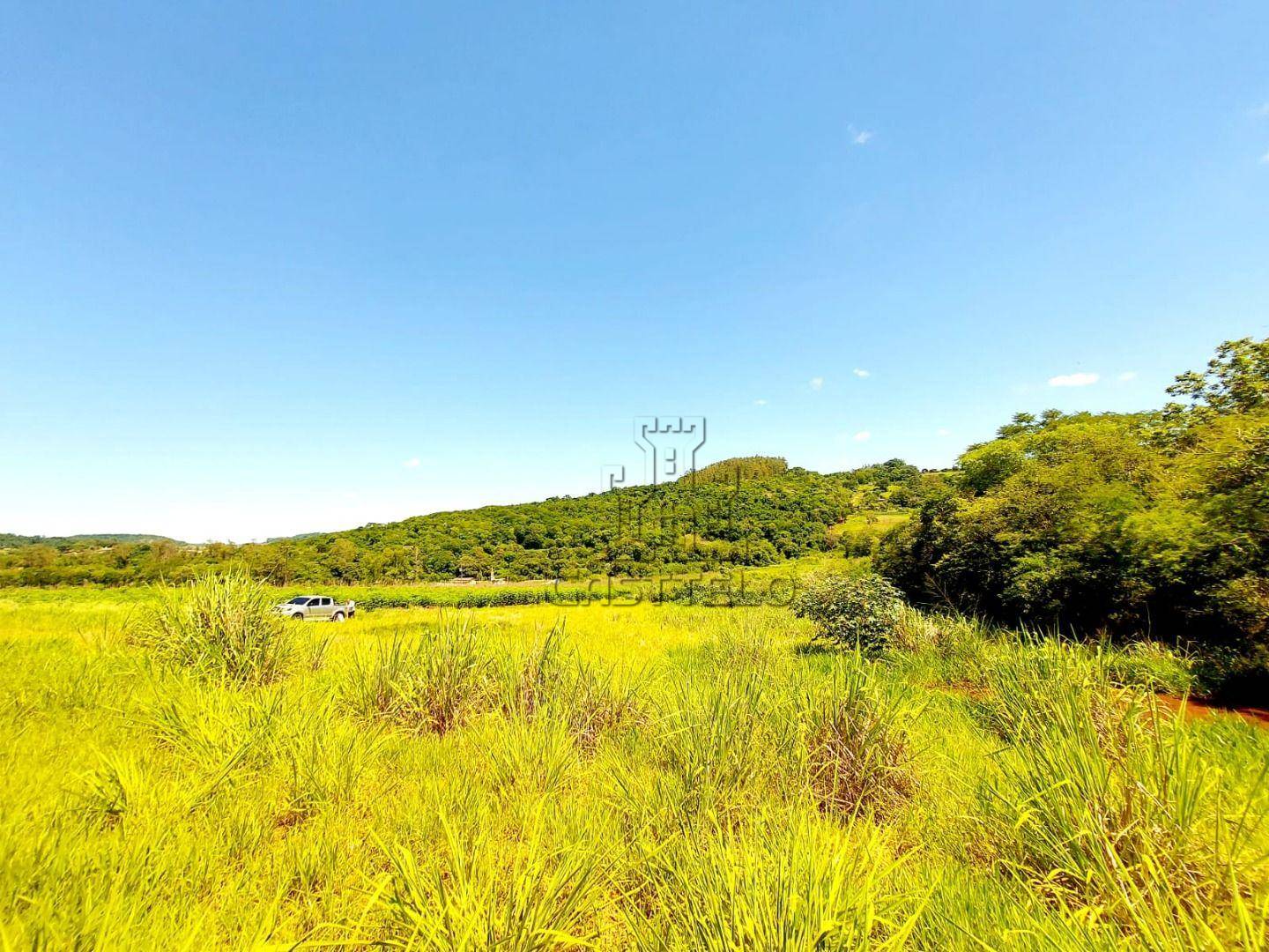 Chácara, 2 hectares - Foto 7