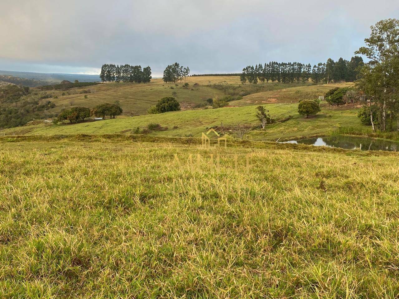 Fazenda à venda, 2323200M2 - Foto 1