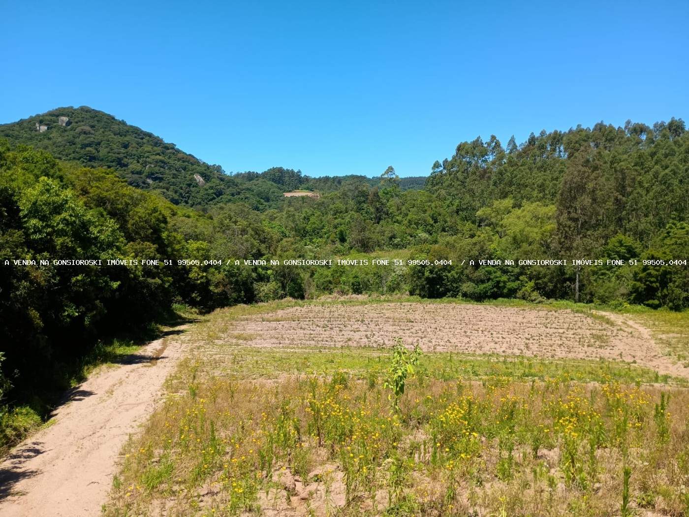 Sítio, 9 m² - Foto 10