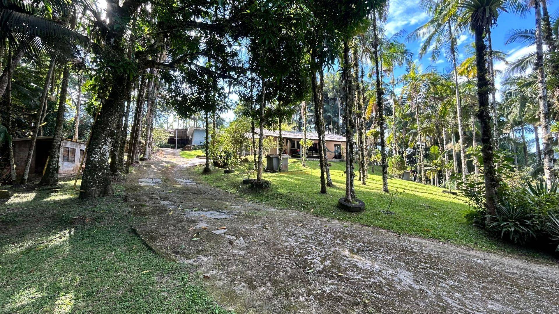 Sítio, 3 hectares - Foto 57