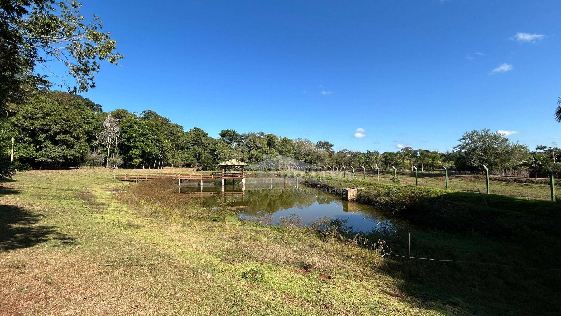 Sítio à venda com 6 quartos, 1100m² - Foto 5
