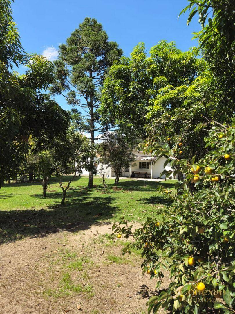 Chácara, 3 quartos, 5000 m² - Foto 50