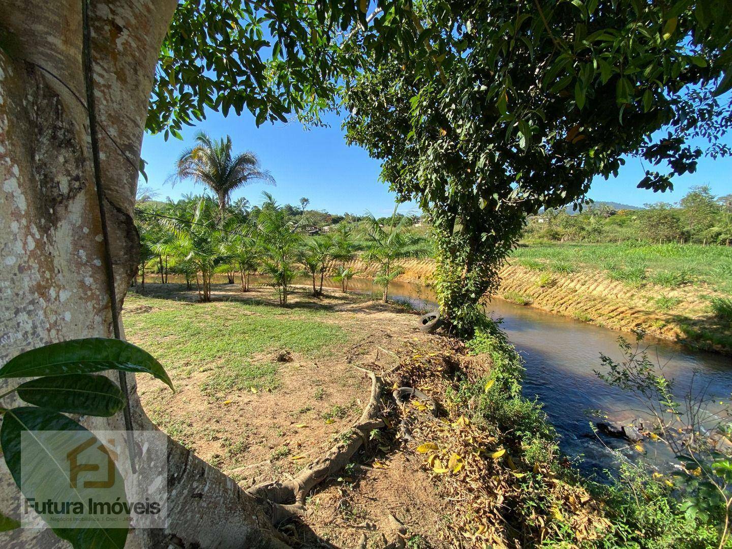 Chácara à venda com 3 quartos, 6000M2 - Foto 15