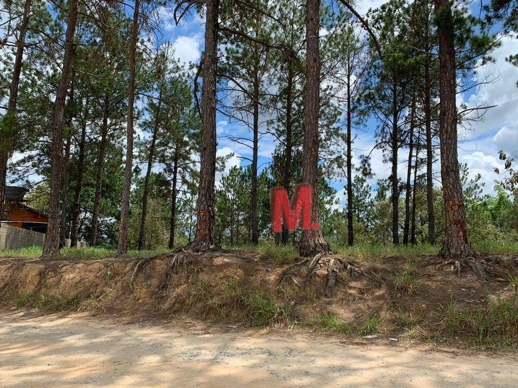 Terreno à venda, 1000M2 - Foto 7