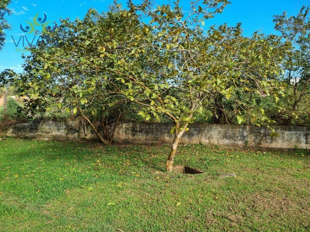 Chácara à venda com 5 quartos, 5000M2 - Foto 23