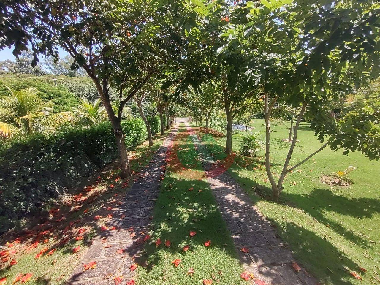 Chácara, 3 quartos, 2500 m² - Foto 3