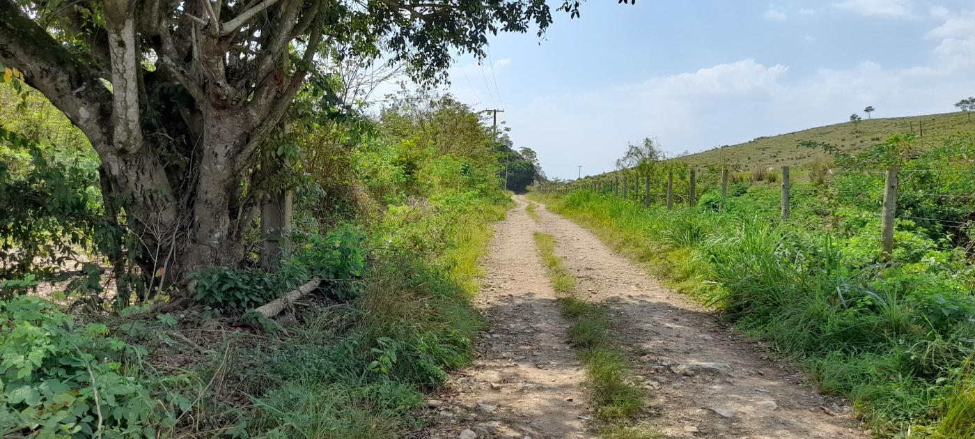 Fazenda à venda com 2 quartos, 20000m² - Foto 20