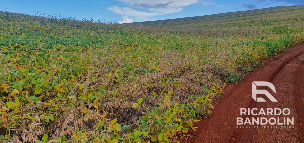 Fazenda à venda, 2057000M2 - Foto 9