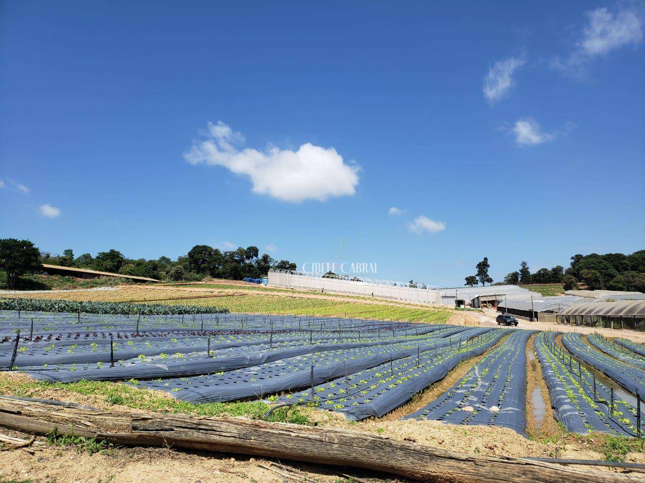 Terreno à venda, 84000M2 - Foto 19