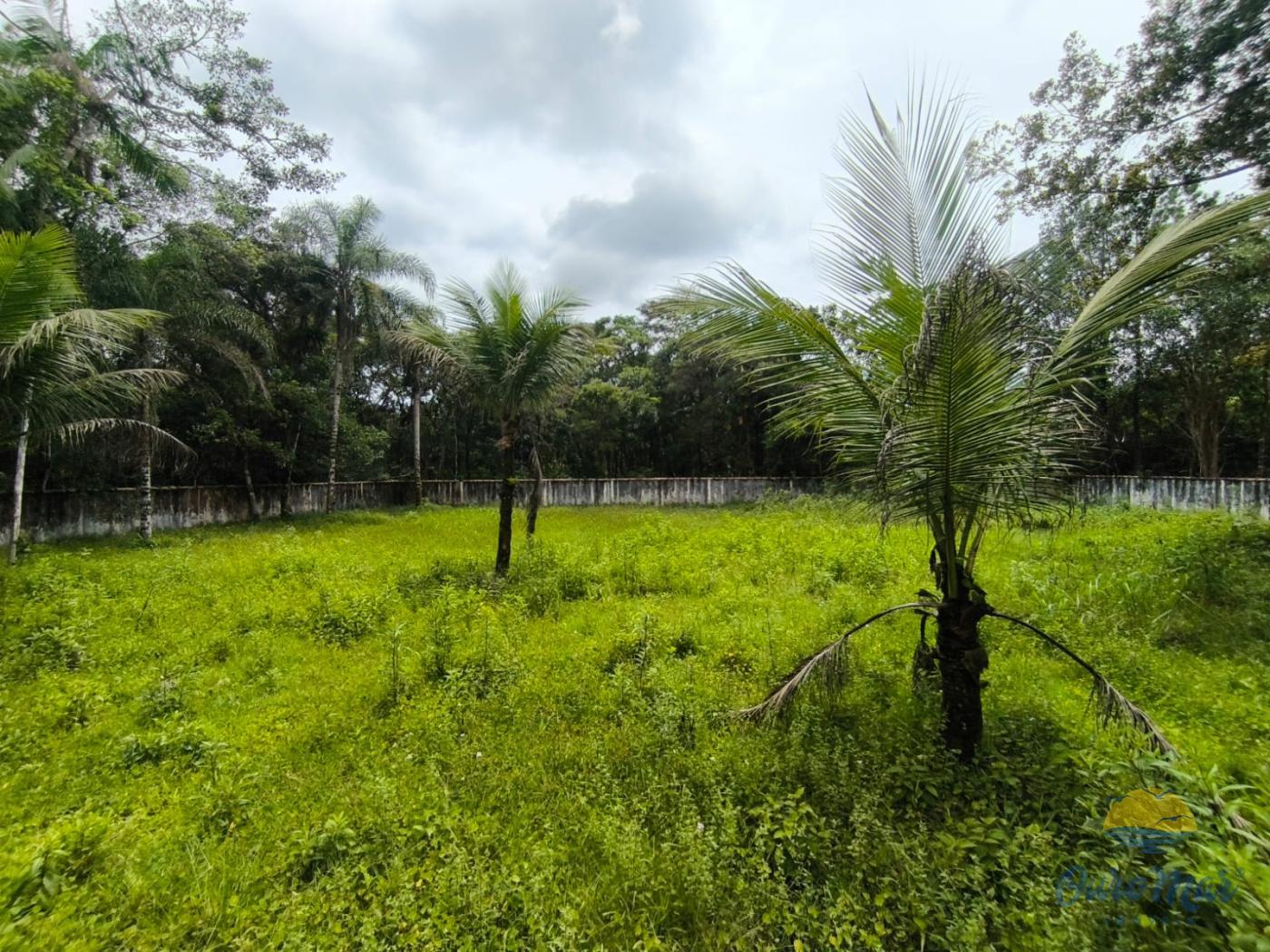 Fazenda à venda com 8 quartos, 465m² - Foto 9