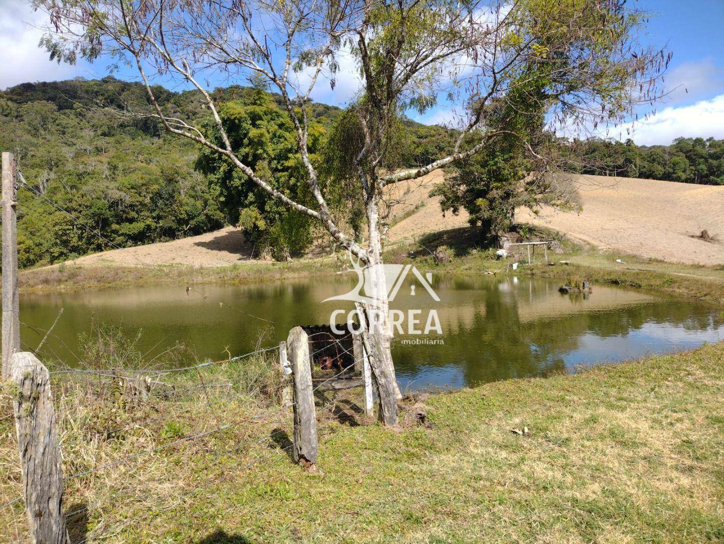 Fazenda-Sítio-Chácara, 518 hectares - Foto 5