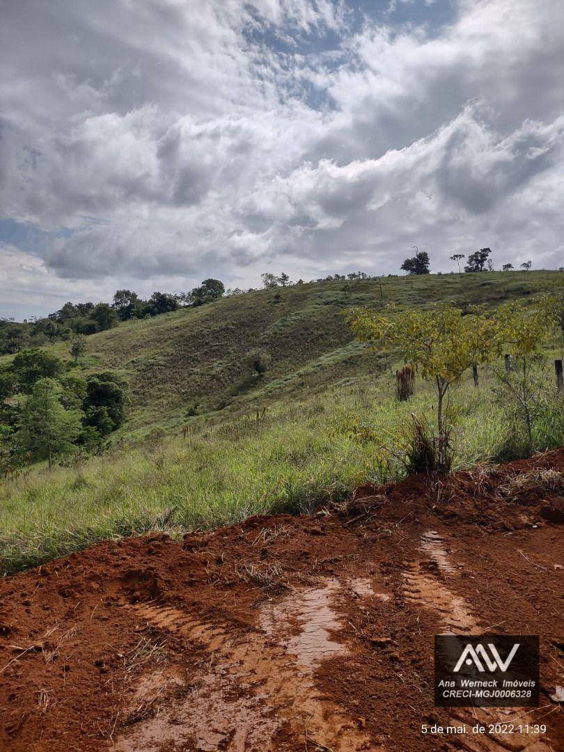 Loteamento e Condomínio à venda, 10000M2 - Foto 1