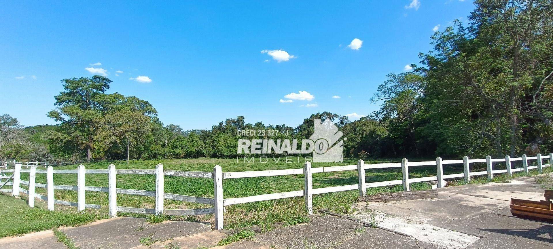 Haras e Área Rural Padrão à venda com 16 quartos, 2500m² - Foto 166