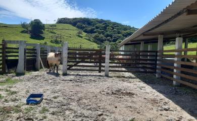 Fazenda à venda com 2 quartos, 145000m² - Foto 20