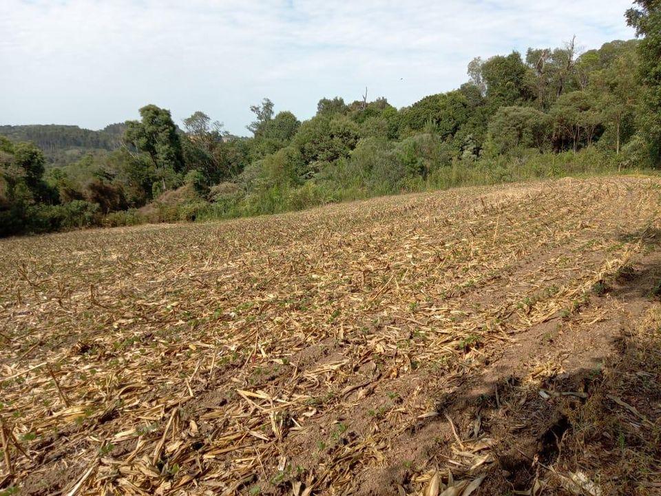 Fazenda à venda com 3 quartos, 130000m² - Foto 17