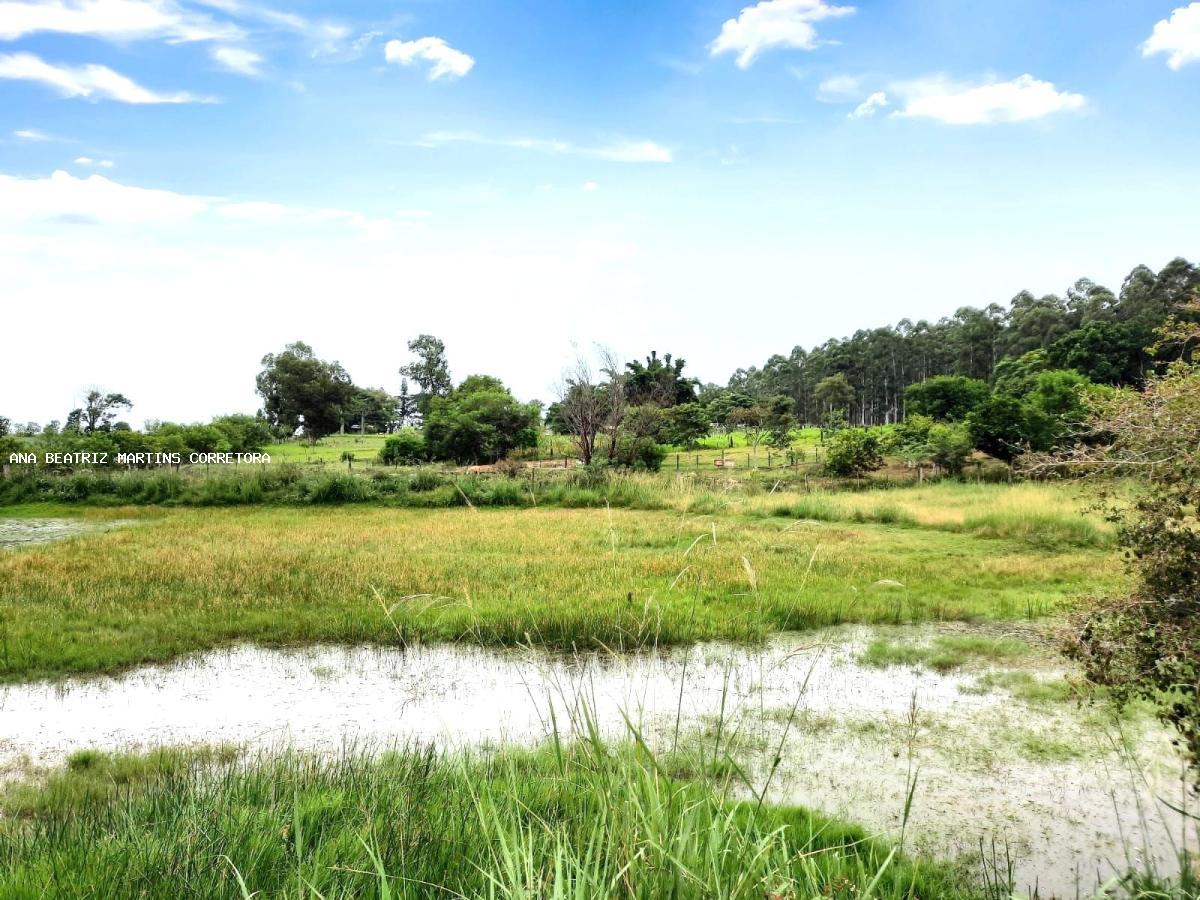 Fazenda à venda com 2 quartos, 4550m² - Foto 9