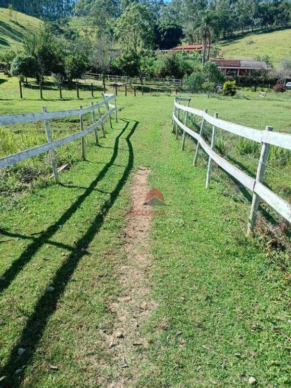 Chácara, 2 quartos, 2 hectares - Foto 2