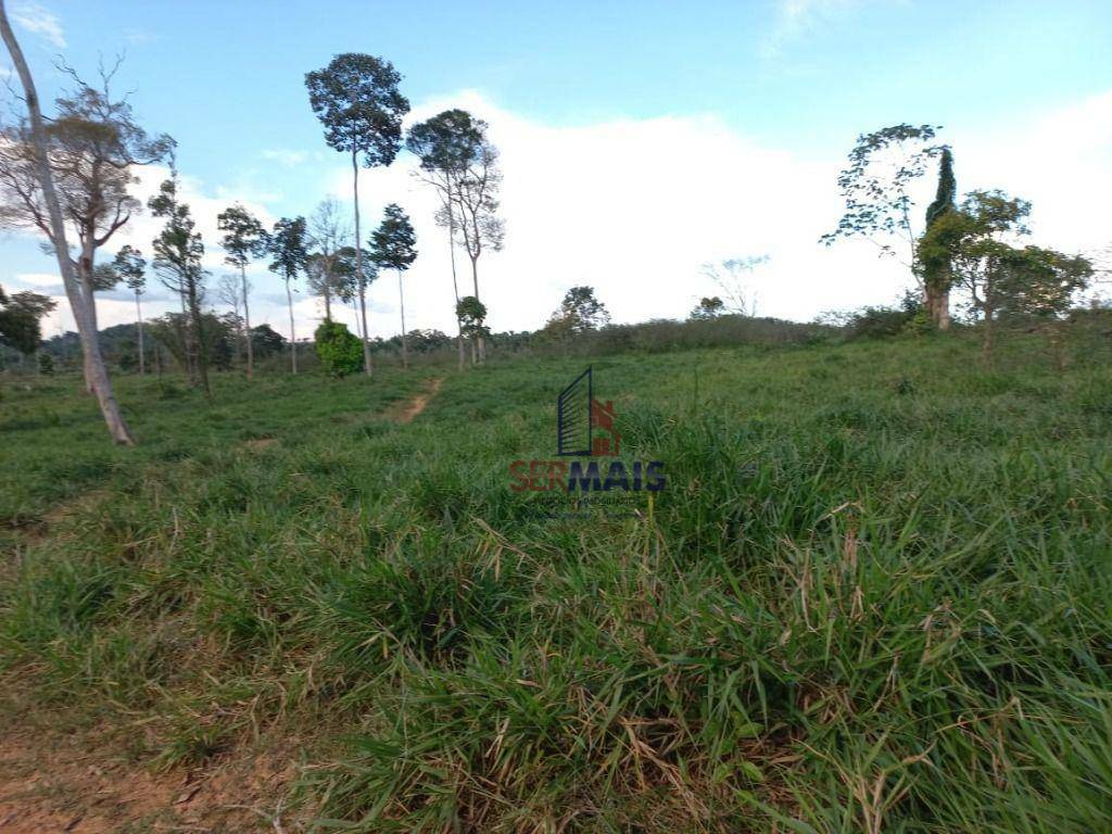 Fazenda-Sítio-Chácara, 600 hectares - Foto 4