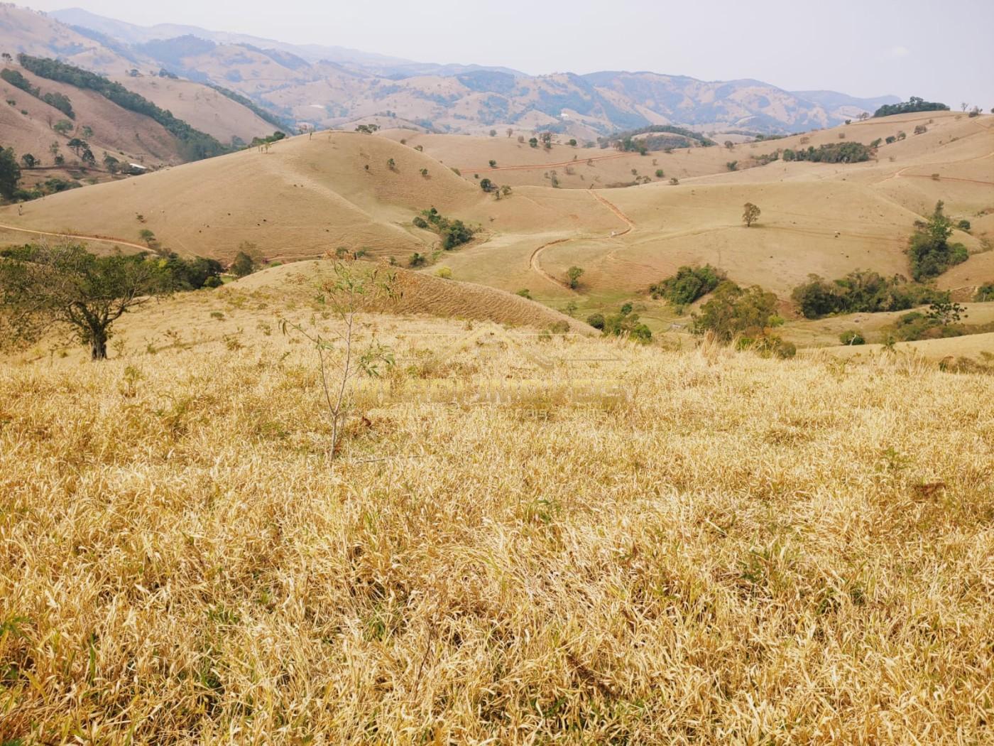 Terreno à venda, 20000m² - Foto 6