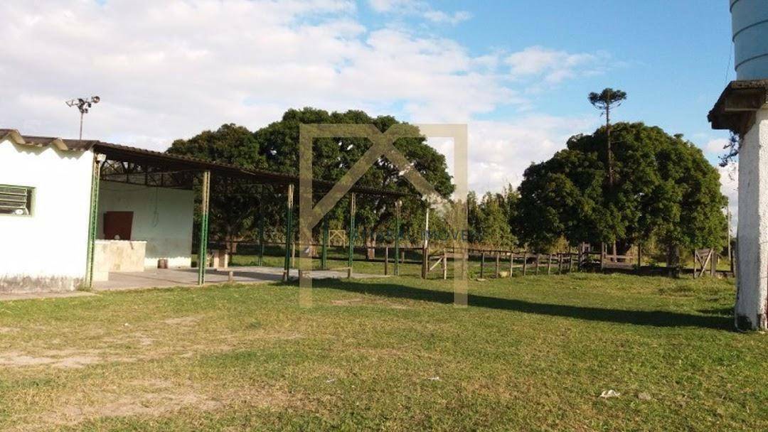 Haras e Área Rural Padrão à venda com 3 quartos, 3M2 - Foto 8