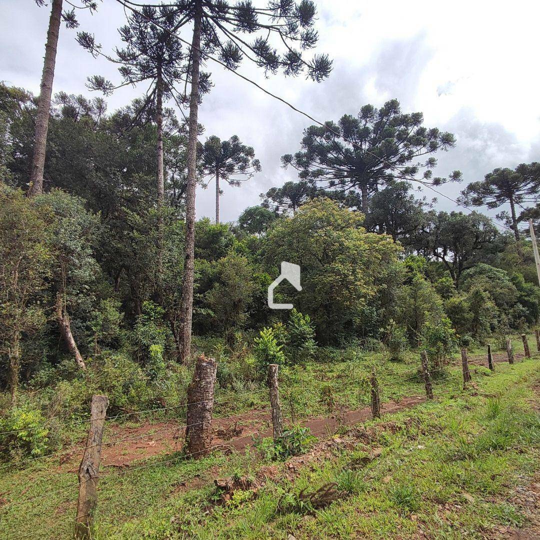 Terreno à venda, 36000M2 - Foto 8