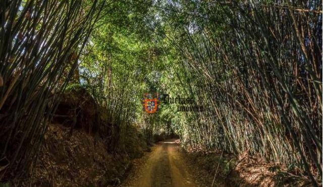 Fazenda à venda com 6 quartos, 500m² - Foto 36