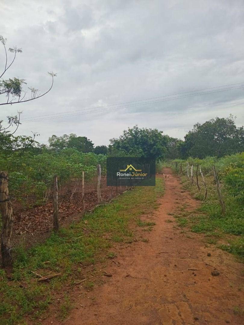 Fazenda à venda com 3 quartos, 968000M2 - Foto 7