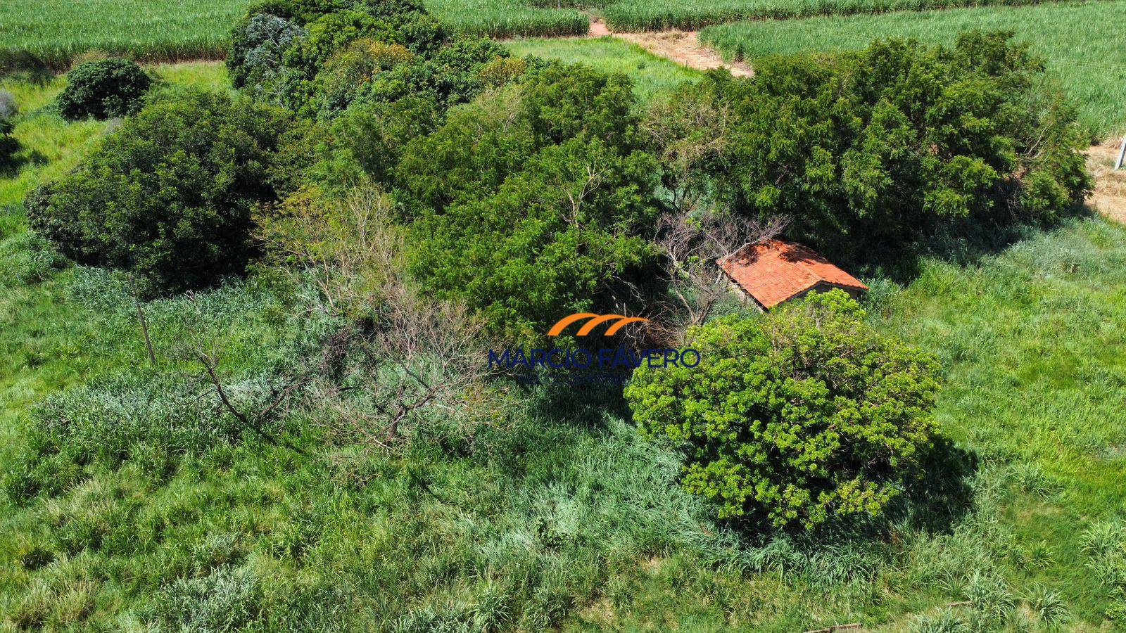 Sítio, 79 hectares - Foto 1