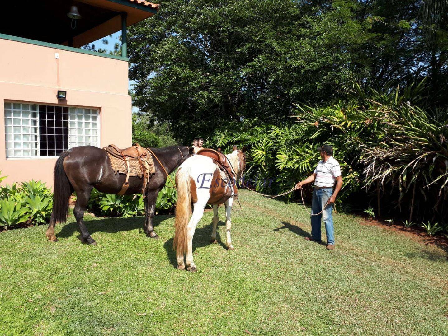 Sítio à venda com 4 quartos, 157300M2 - Foto 10