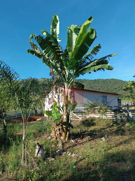 Sítio, 10 hectares - Foto 45