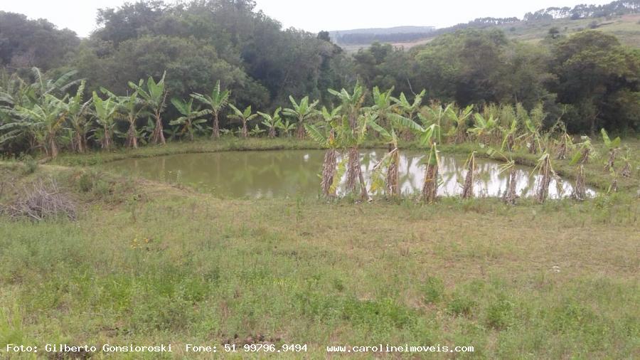 Fazenda à venda com 2 quartos, 35000m² - Foto 9