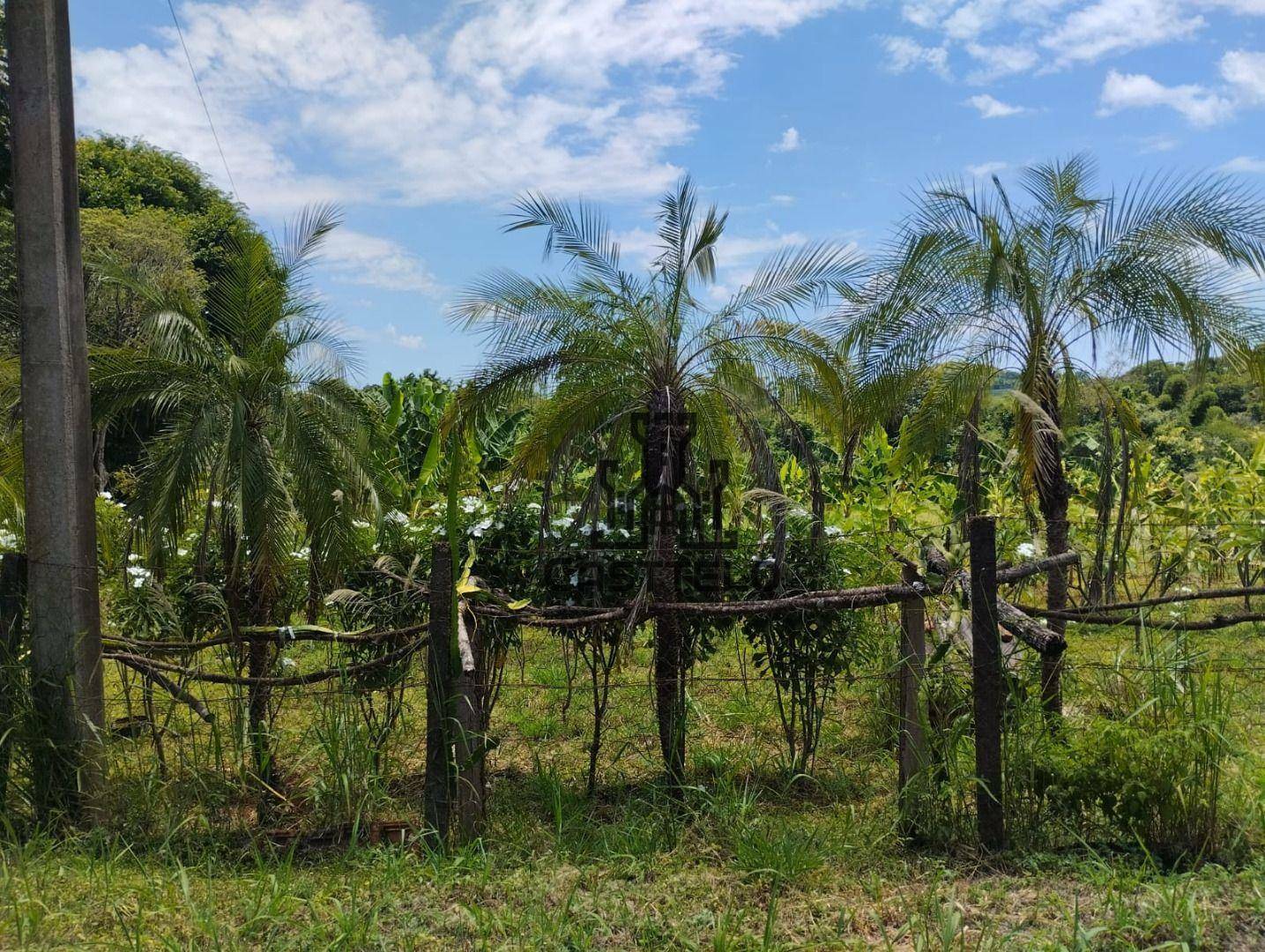 Chácara à venda com 3 quartos, 5022M2 - Foto 3