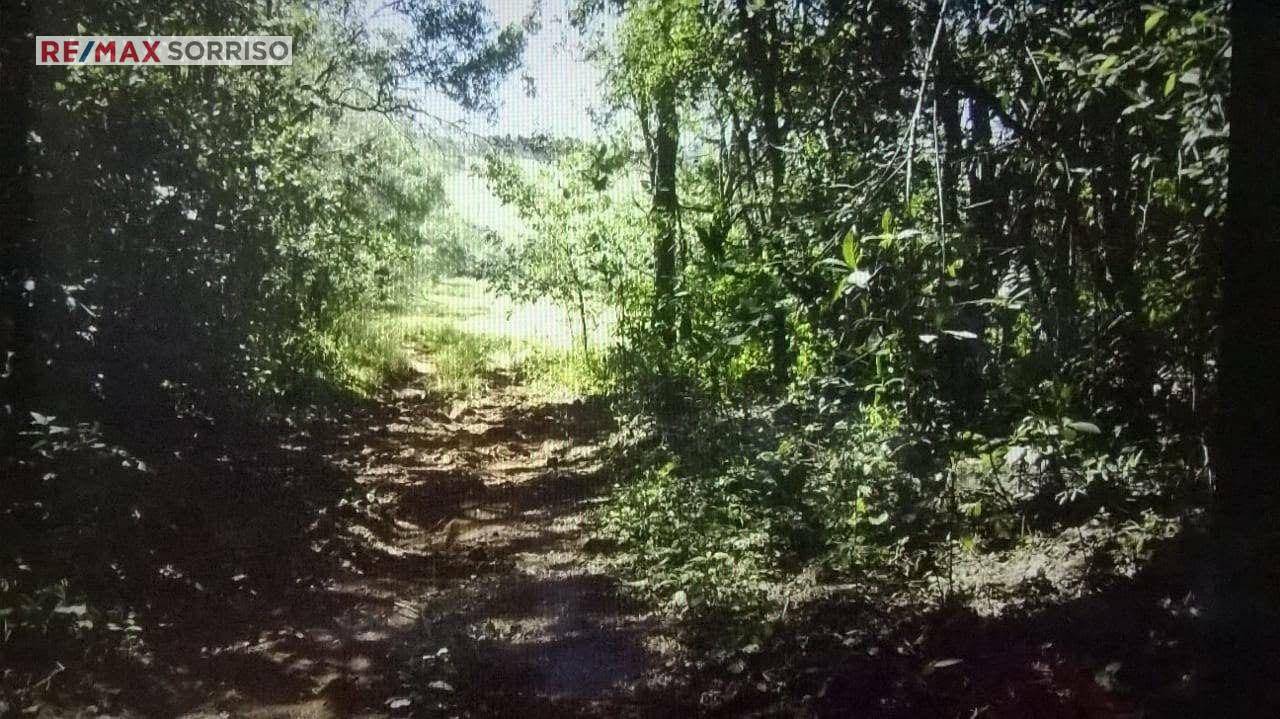 Fazenda à venda com 4 quartos, 242000M2 - Foto 4