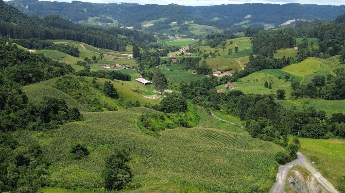 Fazenda à venda com 5 quartos, 450000m² - Foto 7