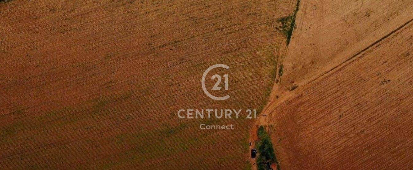 Fazenda-Sítio-Chácara, 237 hectares - Foto 8