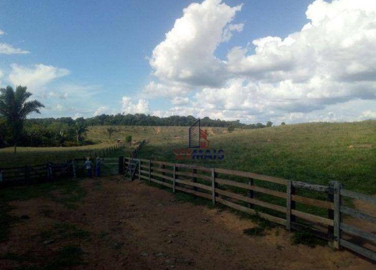 Fazenda à venda, 1060000M2 - Foto 7