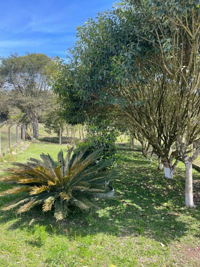 Chácara, 10000 m² - Foto 20