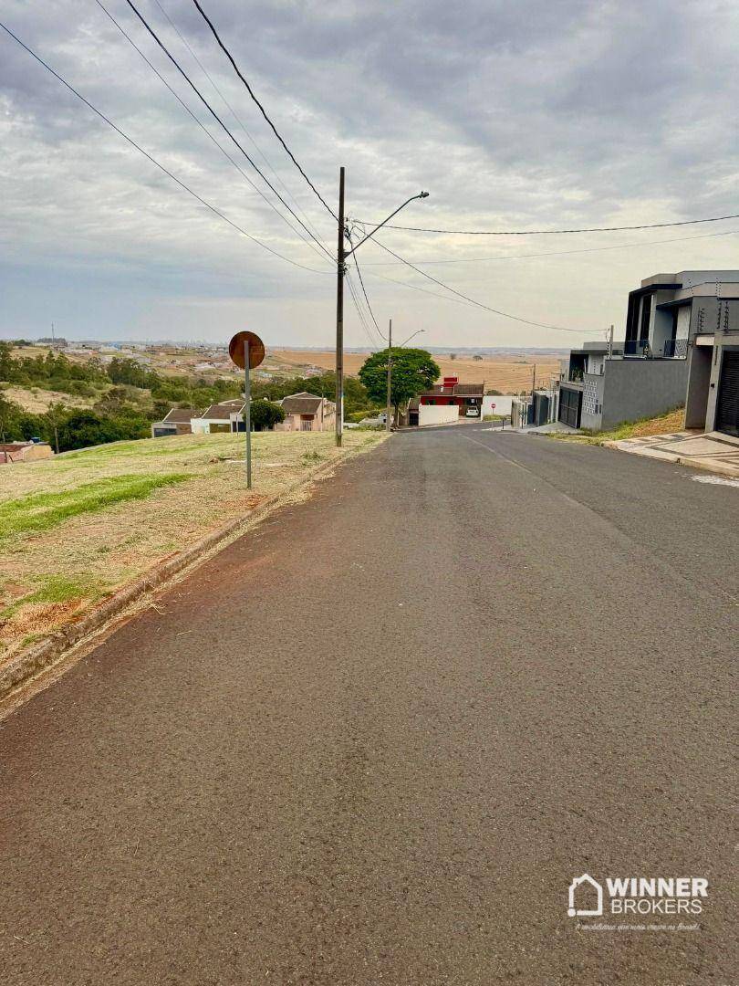 Terreno, 3 hectares - Foto 2