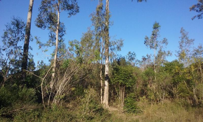 Loteamento e Condomínio à venda, 110000m² - Foto 2