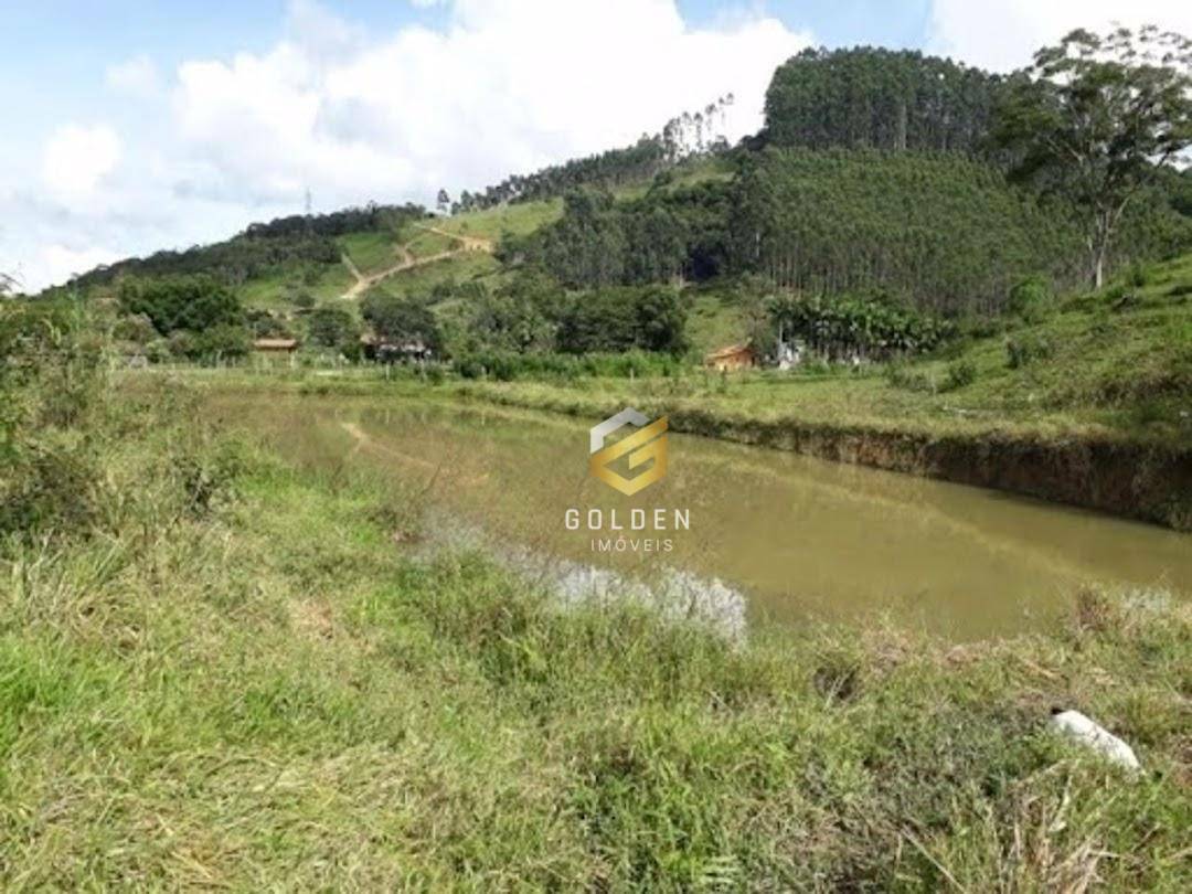 Sítio à venda com 5 quartos, 300m² - Foto 16
