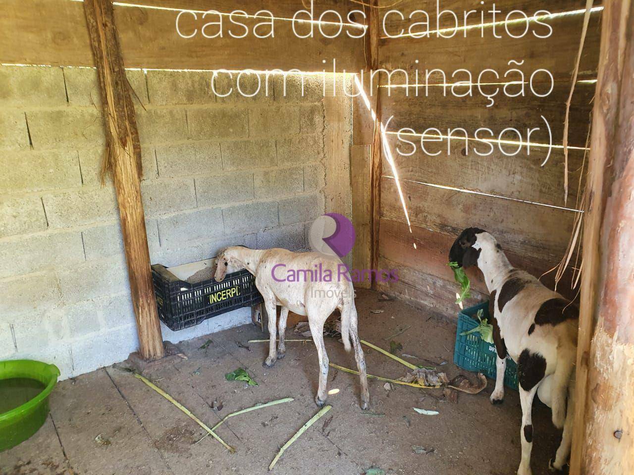 Chácara à venda com 3 quartos, 250m² - Foto 31