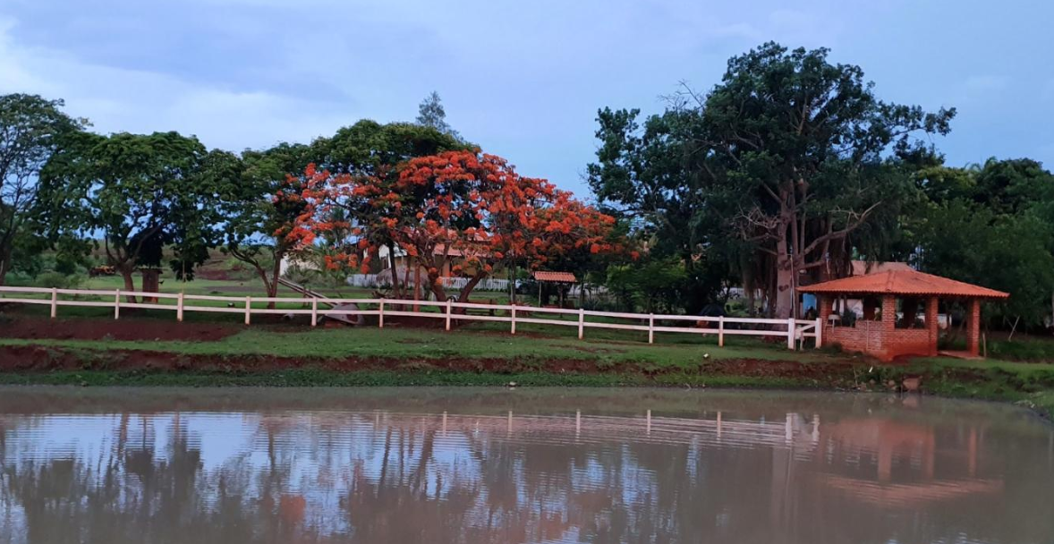 Fazenda à venda com 4 quartos, 14m² - Foto 5