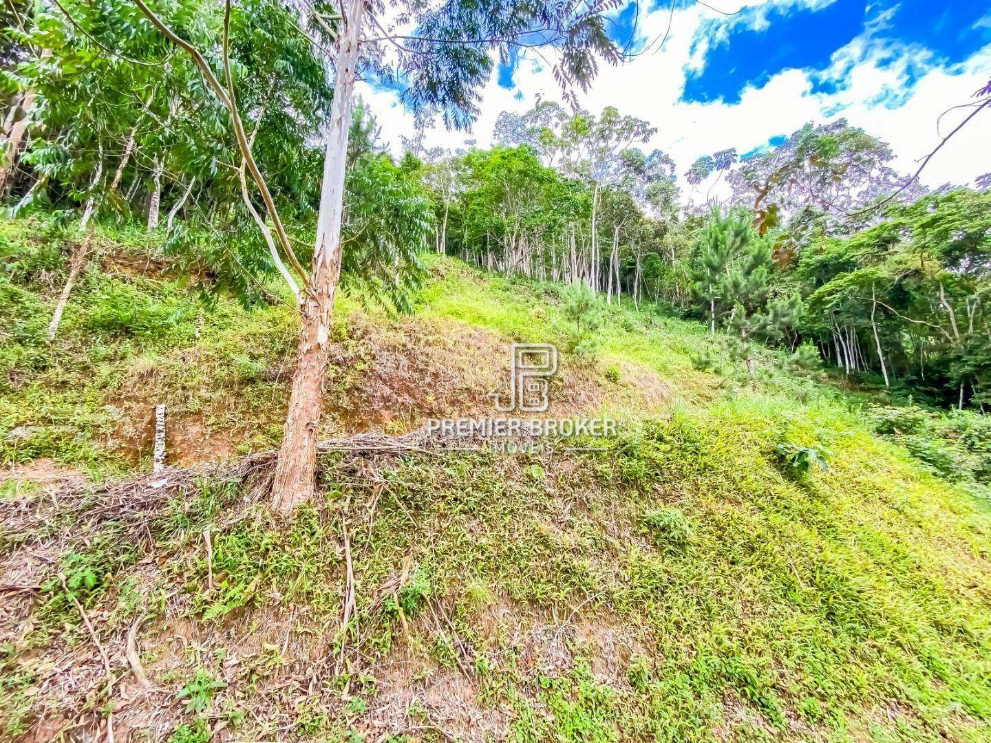 Terreno à venda, 3200M2 - Foto 1