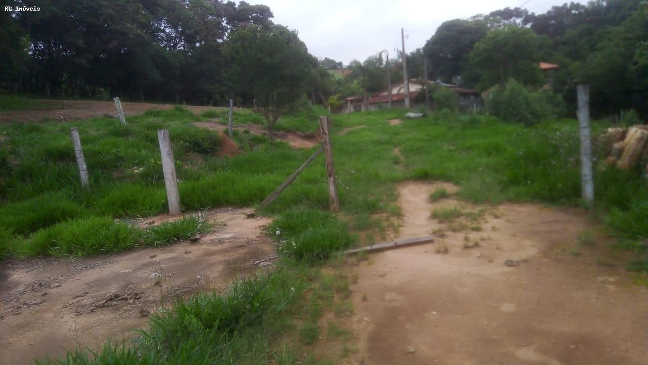 Sítio à venda com 2 quartos, 15000m² - Foto 5