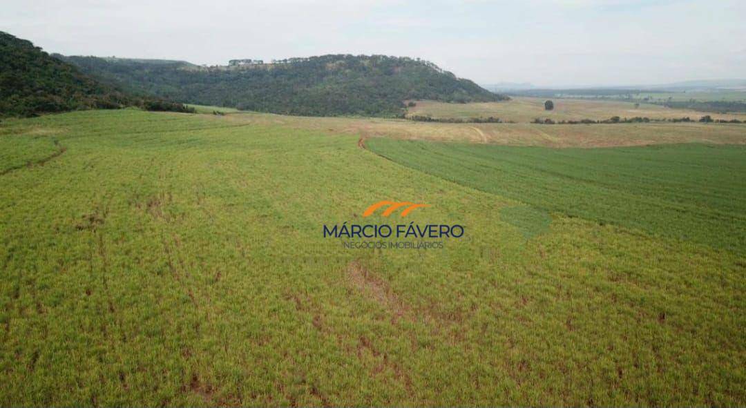 Fazenda-Sítio-Chácara, 1551 hectares - Foto 3