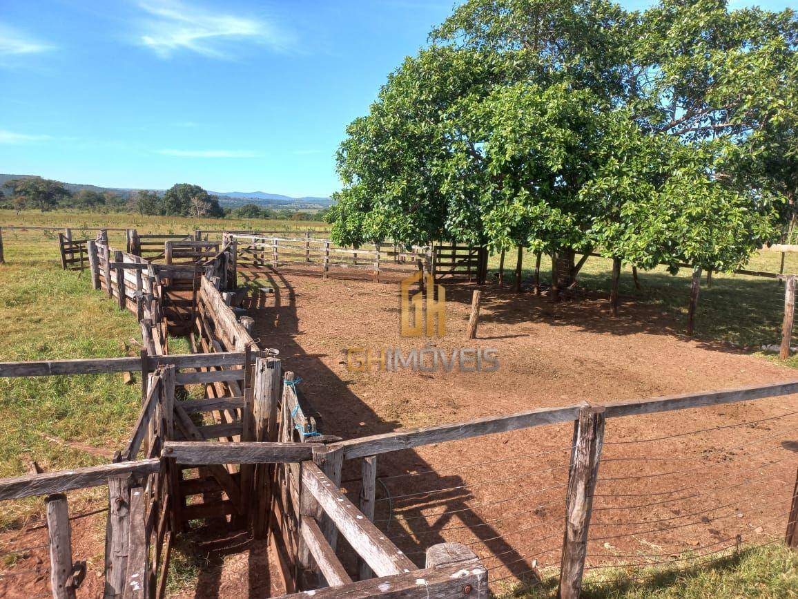 Fazenda-Sítio-Chácara, 387 hectares - Foto 3